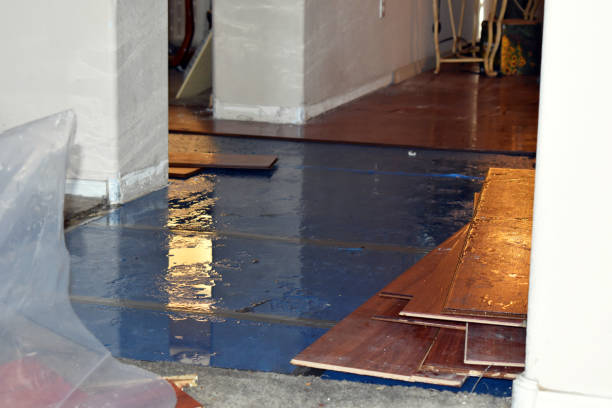 Professional Flood Cleanup technician working in Dennis, MA